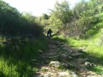 IMG_0085.jpg