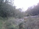 Foto1703.jpg