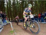 nove mesto namorave 2012.jpg