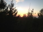 IMG_0491.jpg