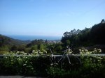 DSC00237.jpg