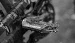 DSC_0697.jpg