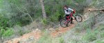 DSC_0701.jpg