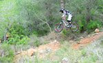 DSC_0715.jpg
