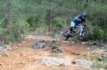 DSC_0739.jpg