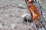 DSC_0873.jpg