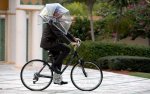 nubrella.jpg
