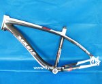 Cuadro FR-205.JPG