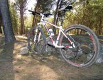 para-foro-mtb1.jpg