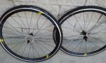 oval 535 nuevas (2).jpg