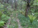IMG00351-20120515-1902.jpg