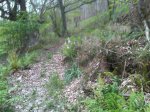 IMG00352-20120515-1902.jpg