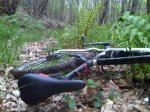 IMG00353-20120515-1905.jpg