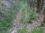 IMG00355-20120515-1907.jpg
