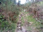 DSC06372.JPG