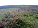 DSC06374.JPG