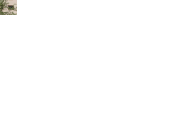 13052012090.gif