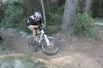 SAM_2275 (Copiar) (Copiar).JPG
