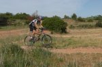 SAM_2281 (Copiar) (Copiar).JPG