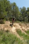 SAM_2306 (Copiar) (Copiar).JPG