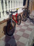 IMG-20120511-00960.jpg