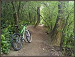 bici  (Copiar) (2).jpg