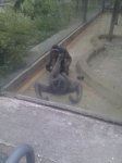 img20120519131434.jpg