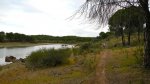 DSCN5060.jpg