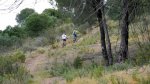 DSCN5062.jpg
