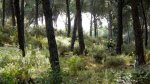 DSCN5096.jpg
