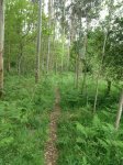 IMG20120517WA0003.jpg
