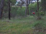 IMG_3820.JPG