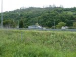 P1100477 (Copiar).JPG
