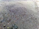 200520121189.jpg