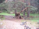 DSCF2012.jpg