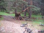 DSCF2013.jpg
