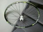 650b.jpg