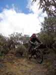 DSCN3260.jpg