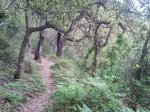 2012-05-19 09.59.20.jpg