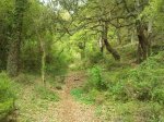 2012-05-19 10.00.06.jpg