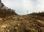 IMG-20120521-WA0002.jpg