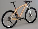 Renovo MTN.JPG