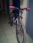 000_0095.jpg