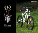 sunn radical plus 2.jpg