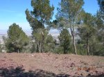 salida al relojero con piÃ±e y jorge GCivil 038.jpg