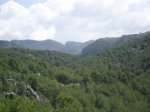 CIMG0611.JPG