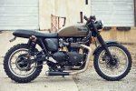 2008-triumph-scrambler-1.jpg