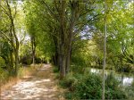 Darsena_de_Palencia_002.jpg