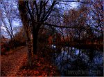 Darsena_de_Palencia_005.jpg