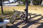 fotos del rio salado con soto 014.JPG